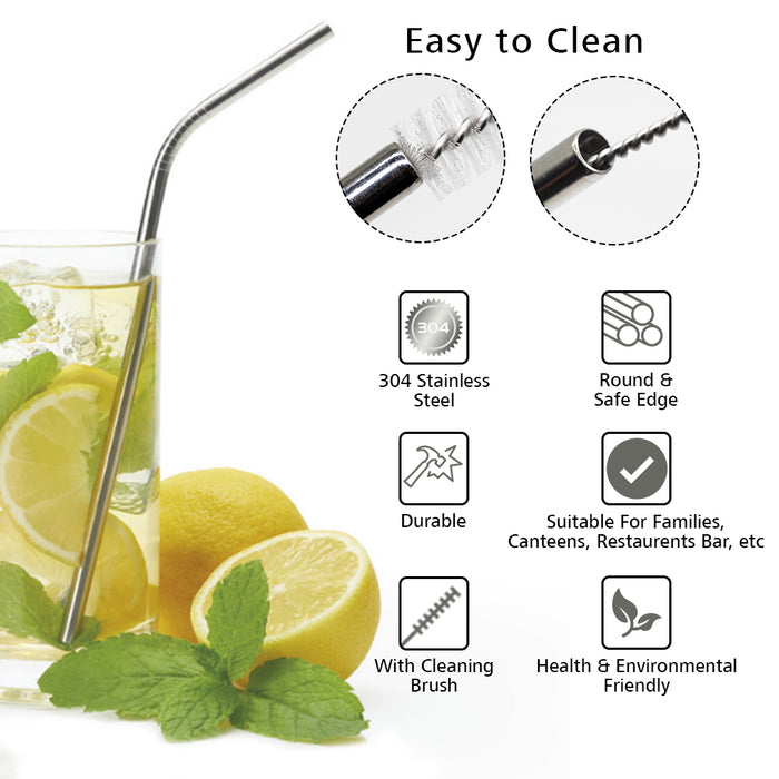 Stainless Steel Straw (2 Straight Straw+ 2 Bent Straw+1 Cleaning brush) - ECO365